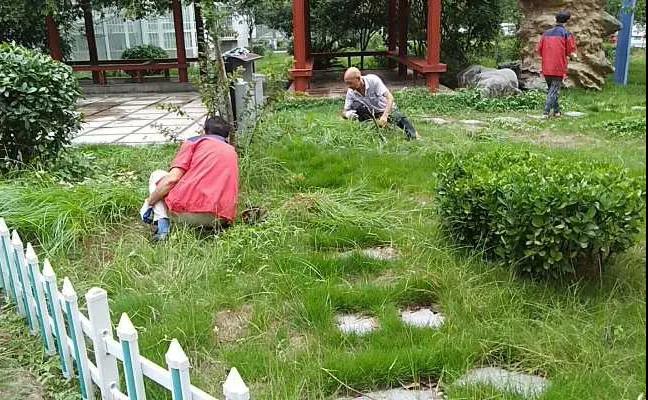 &#20048;&#40060;&#25163;&#26426;&#31449;&#20837;&#21475;&#45;&#20048;&#40060;&#111;&#110;&#108;&#105;&#110;&#101;&#40;&#20013;&#22269;&#41;